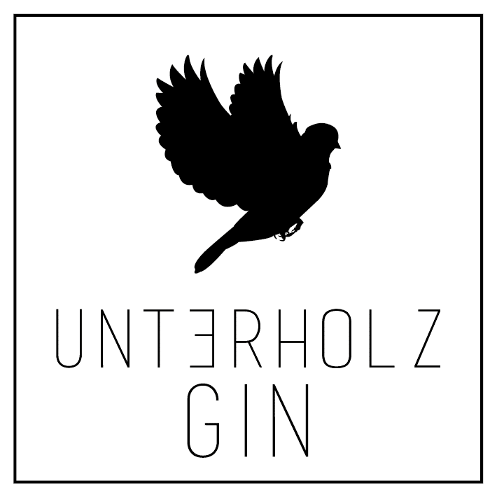 uh_gin_logo_28.10_schwarz-01